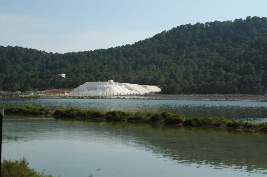 4 Best Shopping Tours In Ibiza