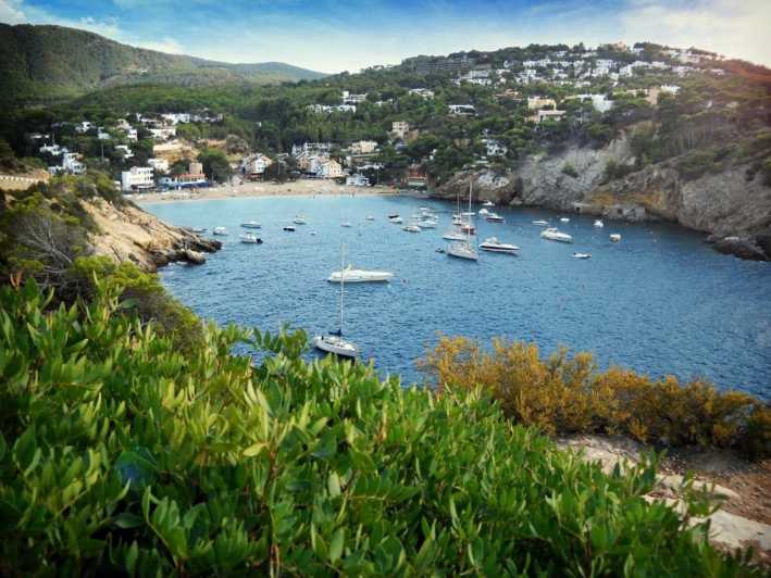 Ibiza: Land & Sea (Buggy+Paddle Surf)