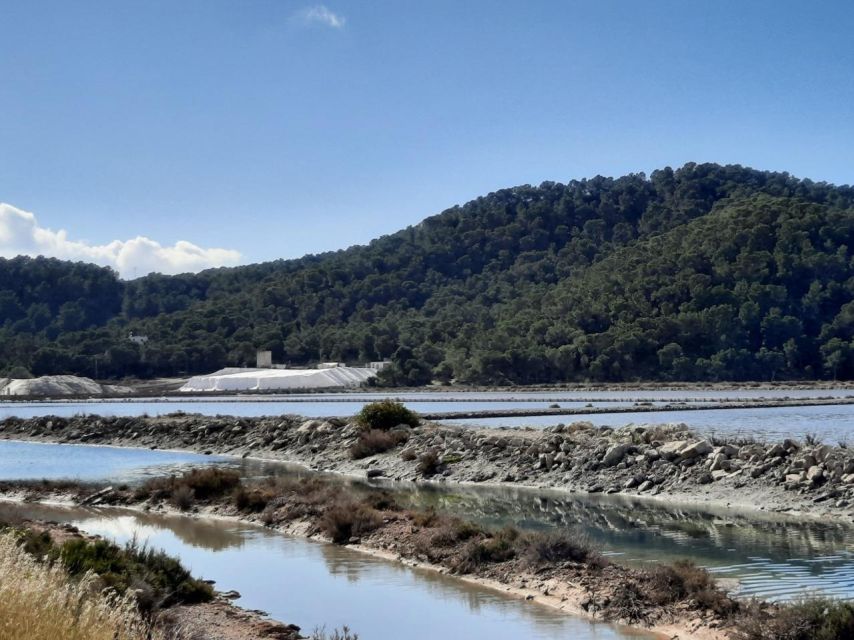 Ibiza: Ses Salinas Bike Excursion