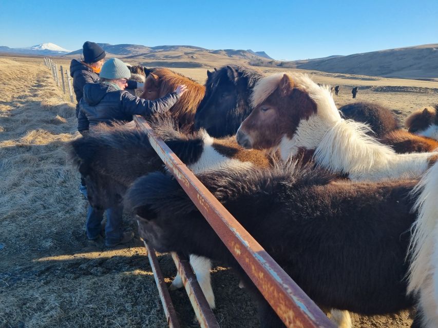 Iceland: Golden Circle – Private Eco Tour