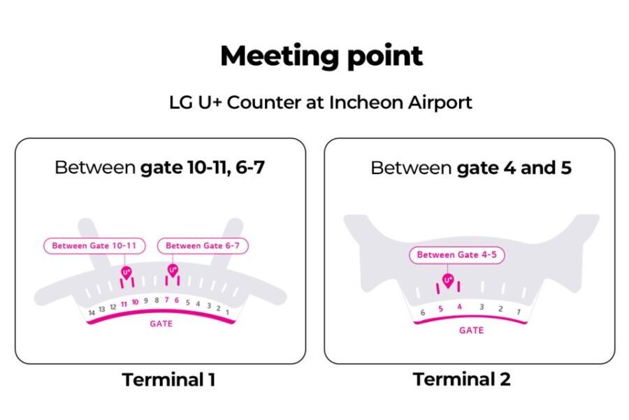 Incheon Airport: Traveler SIM & T-money Transportation Card