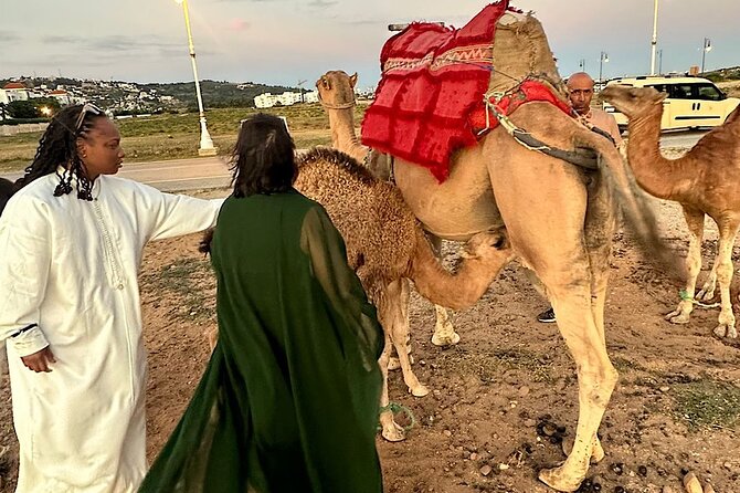 Inclusive Beach Camel Ride, Cap Spartel, Hercules & Full Dinner - Comprehensive Tour Overview