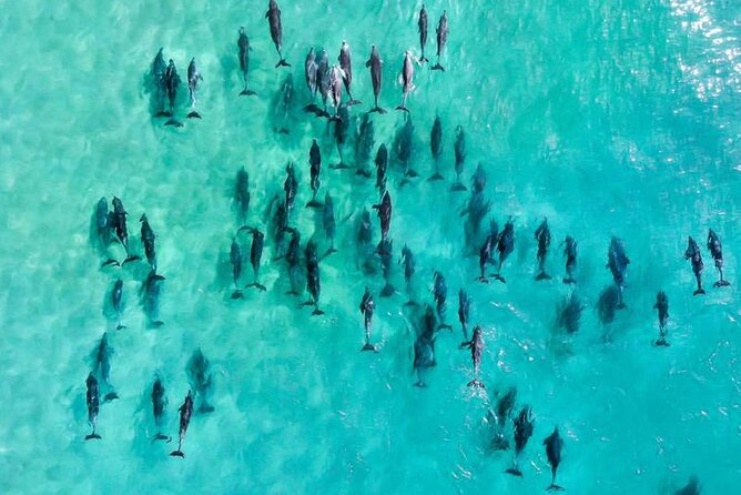 Inner Reef Explorer – 30 Minute Reef Scenic Flight