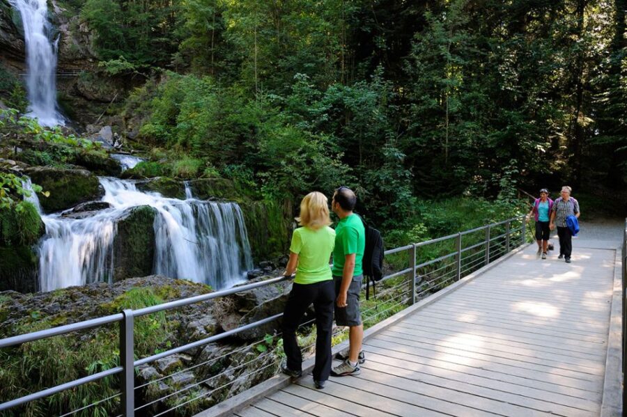 Interlaken & Jungfrau: Custom-Tailored Tour With Local Guide