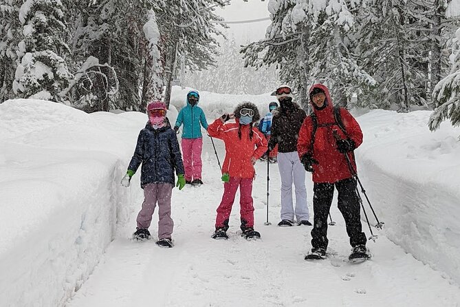 Introductory Snowshoe Shared Experience - Inclusions and Accessibility