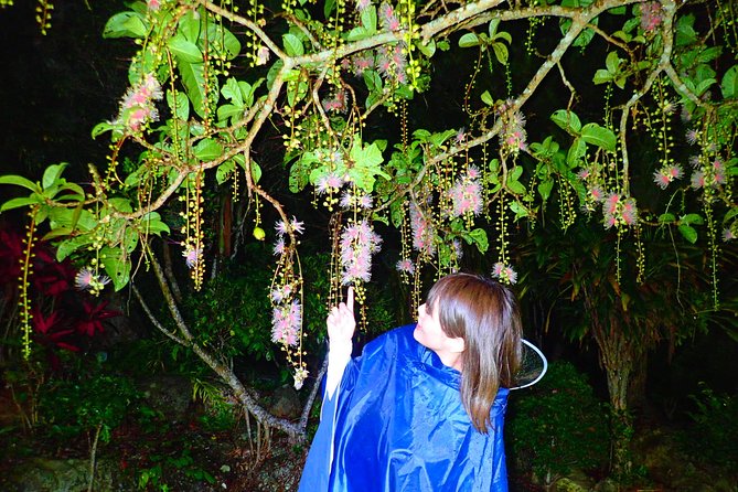 Ishigaki, OkinawaLimited-time Sagari-bana Viewing Tour