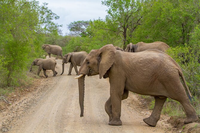 Isimangaliso Sunset Game Drive