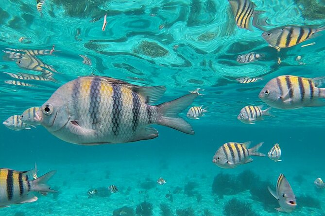 Isla Mujeres Snorkeling Adventure at the Underwater Museum - Location and Duration