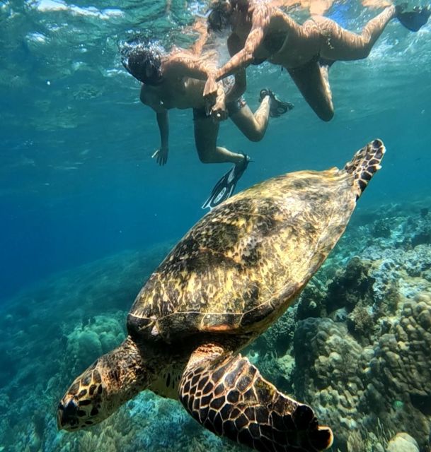 Island Hopping Gili Asahan, Gede, Rengit, Layar & Goleng