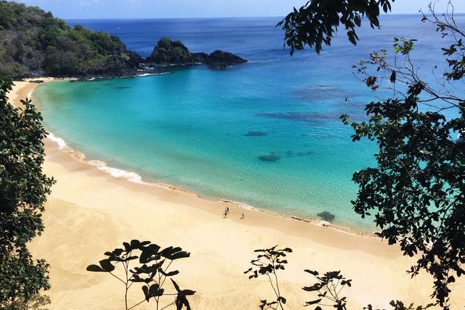 Island Tour in Fernando De Noronha