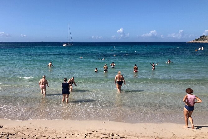 Island Tours