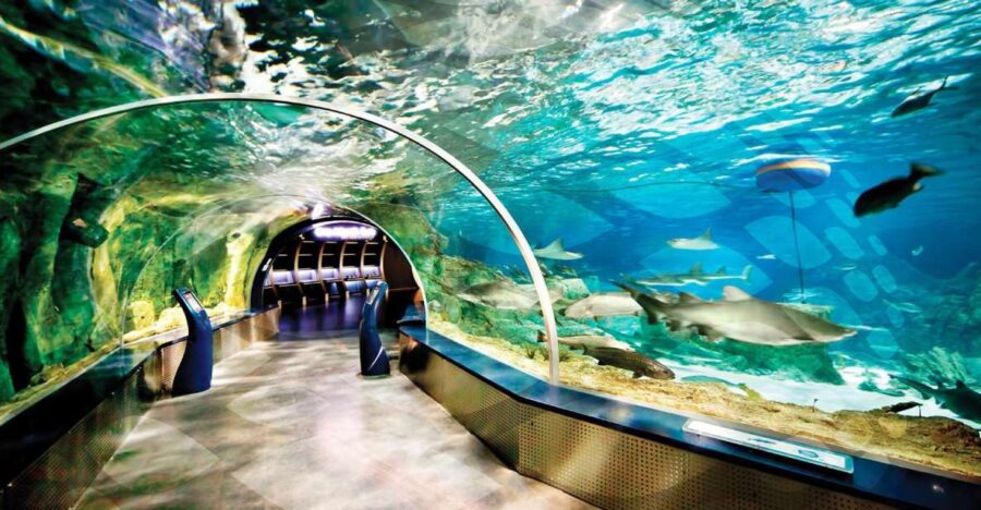 Istanbul Aquarium and Aqua Florya Shopping Mall Tour - Tour Overview