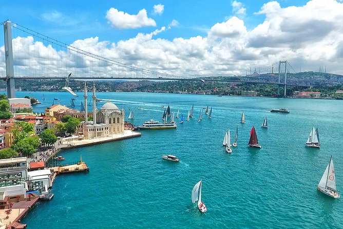 Istanbul Bosphorus Cruise and Audio Guide App - Overview of the Cruise