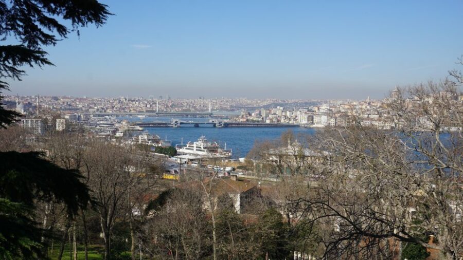 Istanbul Scenic Half-Day Bosphorus Cruise - Cruise Overview