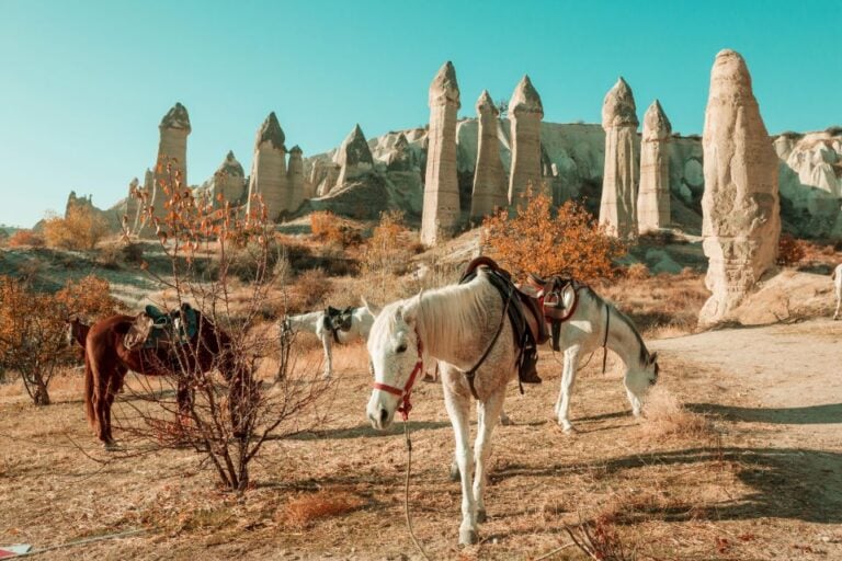 Istanbul to Cappadocia All Inclusive Private Day Tour