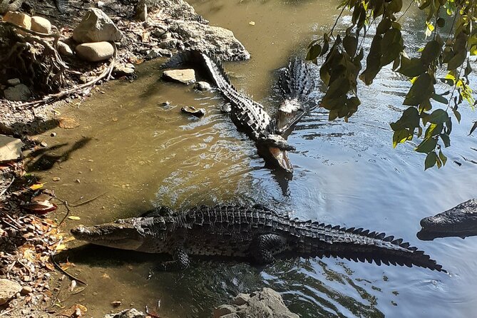 Ixtapa Island Tour