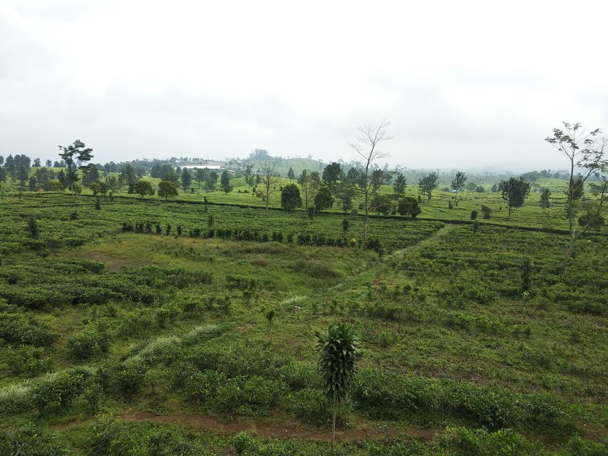Jakarta: Active Volcano, Waterfall &Beautiful Local Village