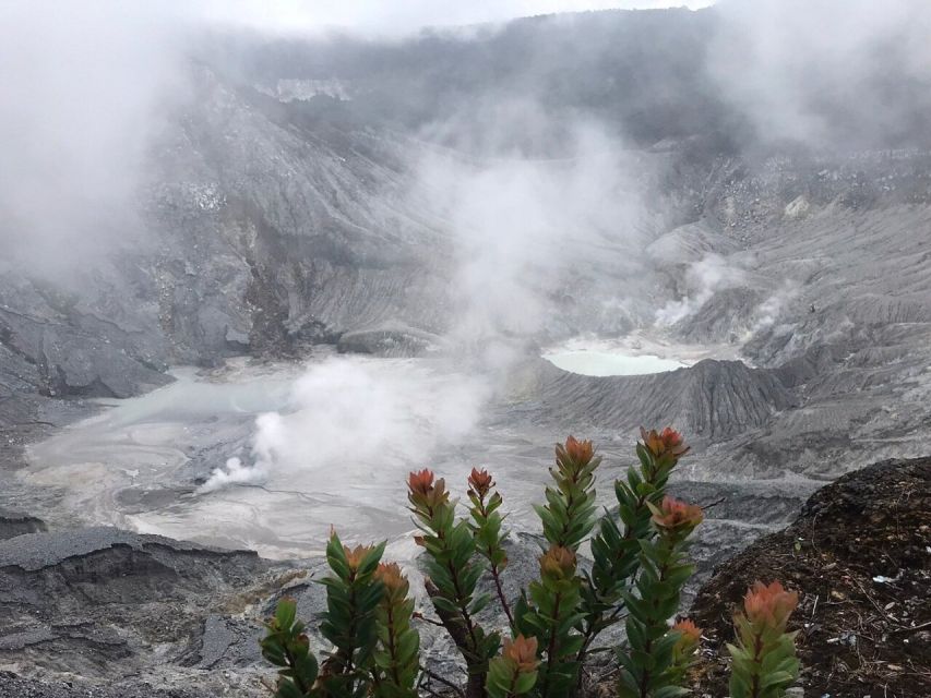 Jakarta: Volcano, Tea/Rice Fields, Hot Spring, Local Food - Tour Overview and Pricing