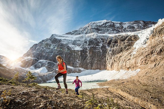 Jasper to Lake Louise One-Way Tour