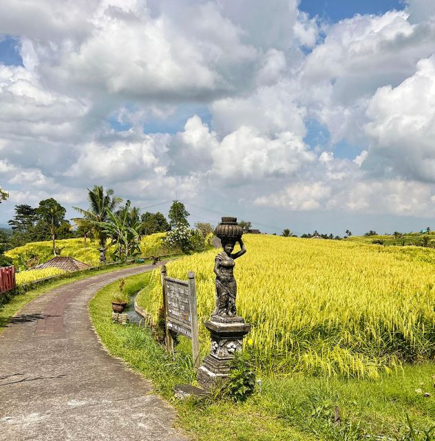 Jatiluwihs Rice Field Terraces: A Scenic Self-Guided Audio - Tour Overview and Pricing
