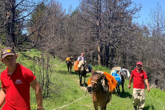 Jeep Safari Berat Hiking Caravan Mule in Tomori Holy Mount - Inclusions for the Excursion