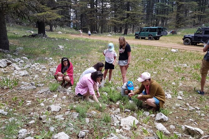 Jeep Safari From Kemer