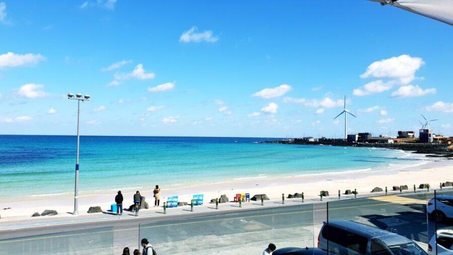 Jeju Island: Customized Private Full-Day Van Tour