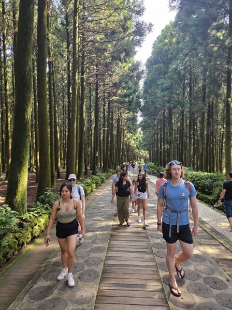 Jeju Island: Full-Day East Jeju Bus Tour With Local Lunch