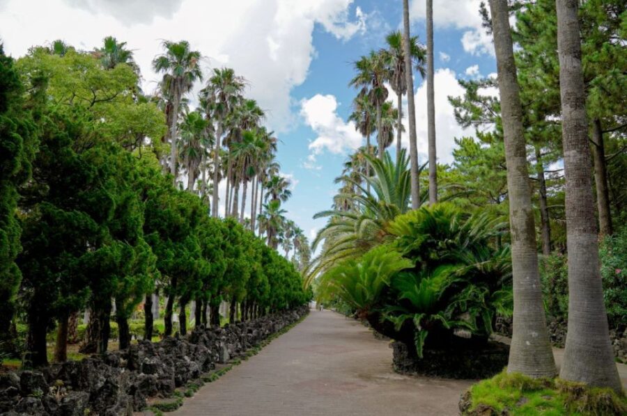 Jeju Premium Small Group UNESCO Day Tour – West
