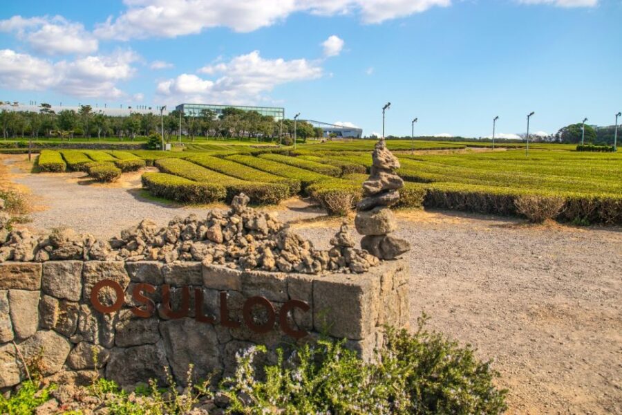 Jeju: Western and Southern Routes Sightseeing Day Tour - Starting and Drop-off Locations