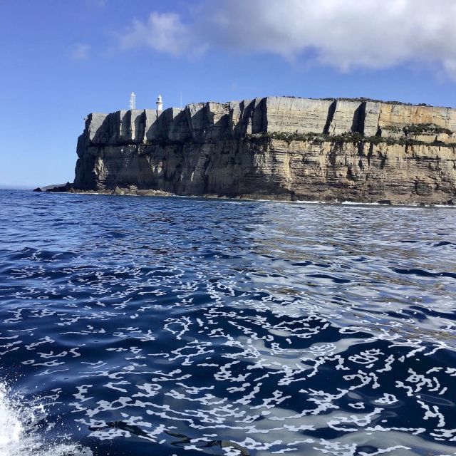 Jervis Bay: 2-Hour Cruise of Jervis Bay Passage