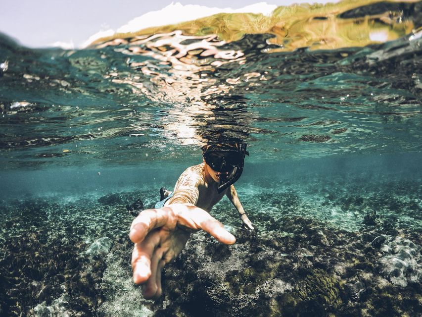 Join Us on a Snorkel Boat Tour