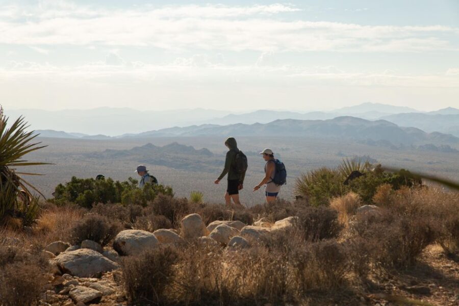 Joshua Tree National Park: Tour and Hike