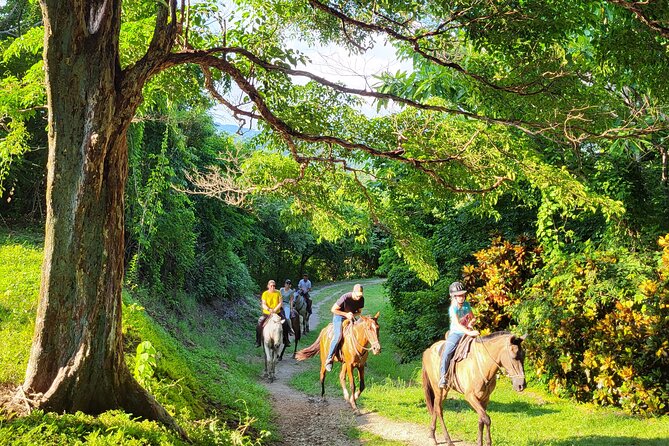 9 Best Tours In Samara
