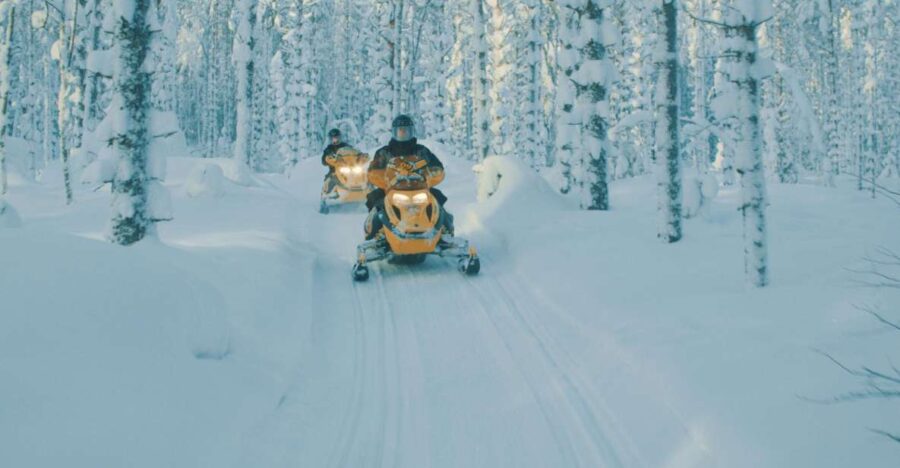 Jyvaskyla/Laukaa: 2-Hour Snowmobile Safari