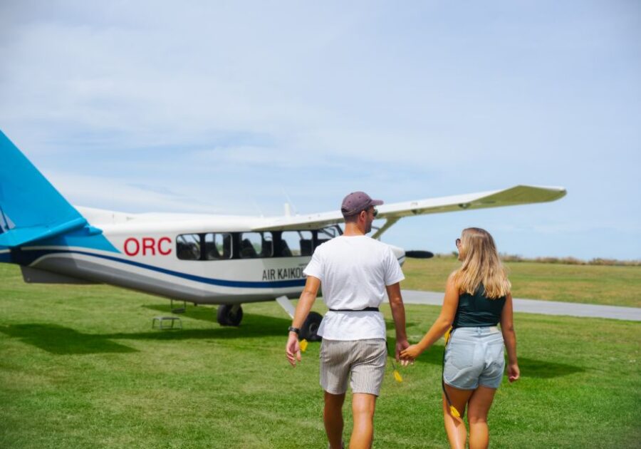Kaikoura: 40-Minute Whale Watching Flight With Commentary