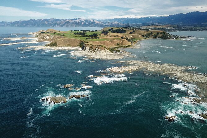 Kaikoura Day Trip From Christchurch (Small Group & Carbon Neutral) - Inclusions and Amenities