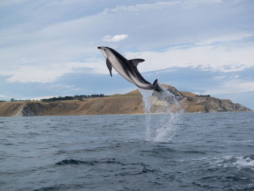 9 Best Canoe And Kayak Experiences In Kaikoura