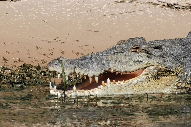 Kakadu National Park, 1 Day 4WD Max 6 Guests Only, Ex. Darwin - Tour Overview