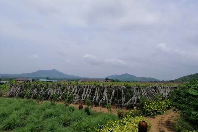 Kampot Tour Pepper Plantation, Salt Field, Cave, Secret Lake - Tour Overview