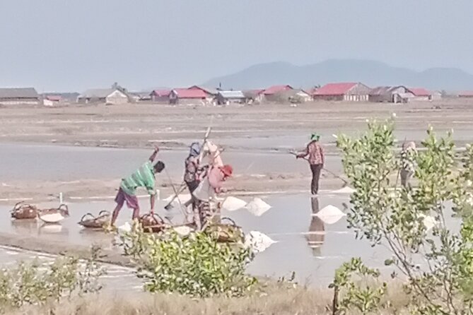 KAMPOT TRIPS - Country Side Tours & Kep. Crab Market - Tour Overview