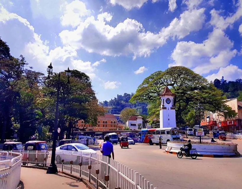 Kandy City Tour by Tuktuk With Recommended Guide - Tour Overview and Pricing