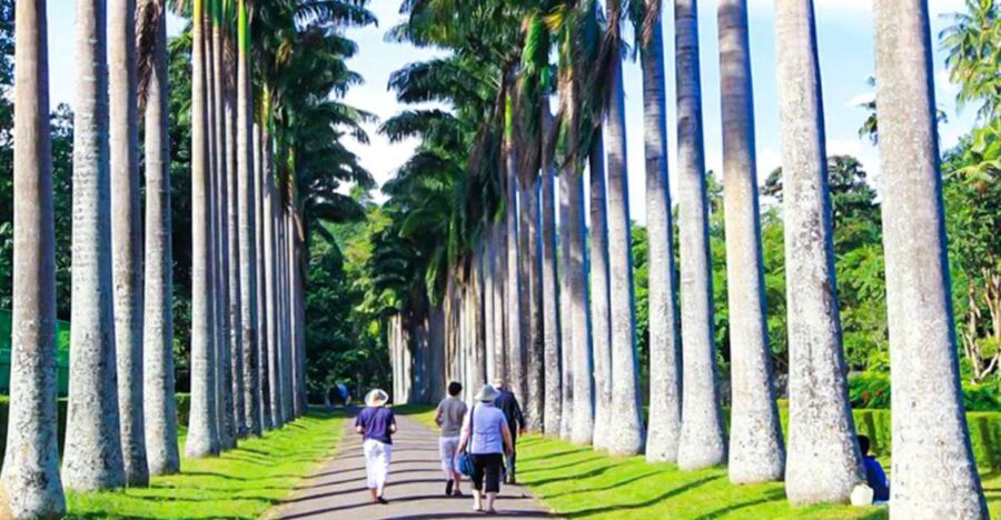 Kandy Majesty: Full-Day Feast & Explore With Lunch