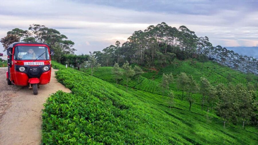 Kandy To Nuwara Eliya Day Tour By Tuk Tuk Sri Lanka