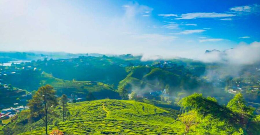 3 Best Lunch Experiences In Nuwara Eliya