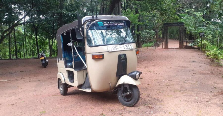 Kandy to Sigiriya Day Tour