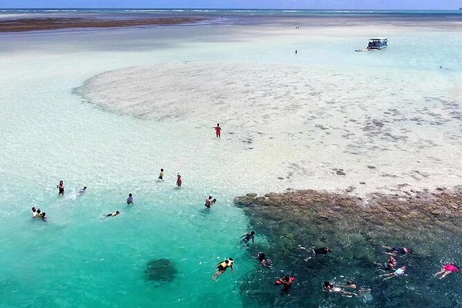 Kaneohe Sandbar Snorkeling Tour / 1st Tour - Overview of the Tour