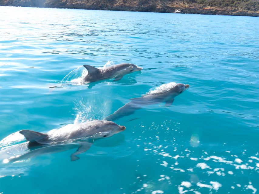 2 Best Cruises And Boat Tours In Kangaroo Island