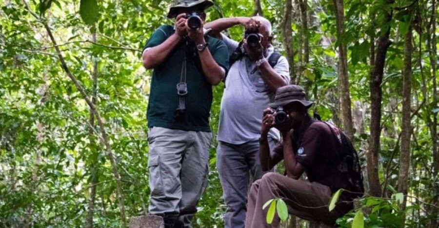 Kanneliya Forest Discovery: Guided Nature Expedition