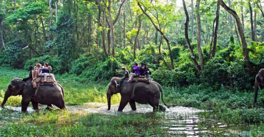 Kathmandu: 3 Day Chitwan Jungle Safari Tour Package